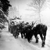 644px-Troops_advance_in_a_snowstorm